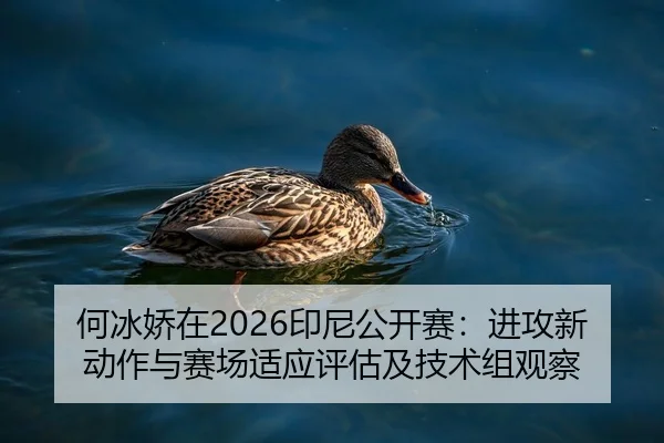 he-bing-jiao-zai-yin-ni-gong-kai-sai-jin-gong-xin-dong-zuo-yu-sai-chang-shi-ying-ping-gu-ji-ji-shu-zu-guan-cha-2-235.jpg